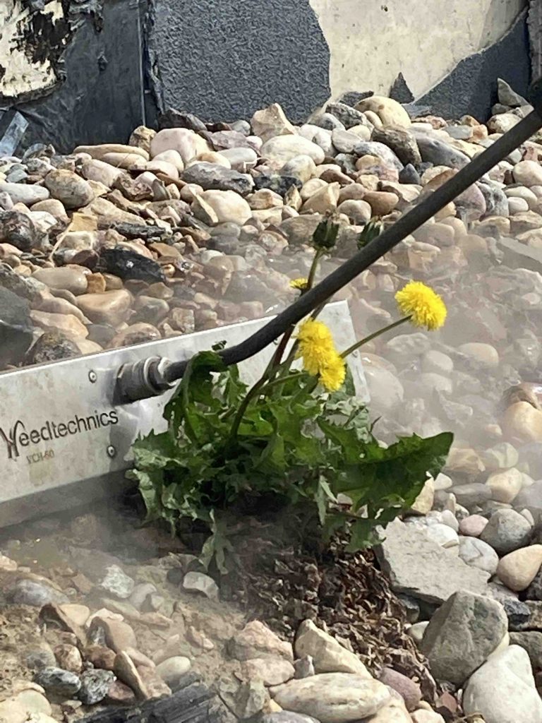 A knife cutting through the ground with flowers.