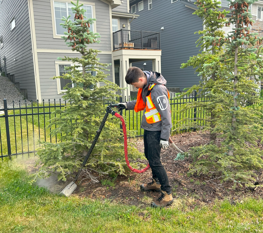 Steam weeding For property owners