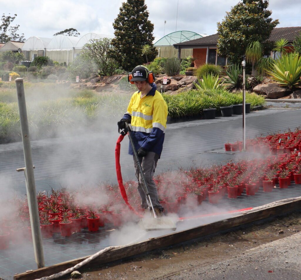 steam weeding for nurseries