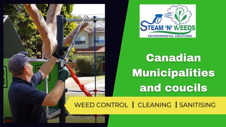 steam weeding in Canada